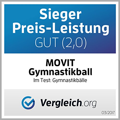 MOVIT Gymnastikball mit Pumpe Fitnessball Sitzball 65 cm in silber, Maximalbelastbarkeit bis 300kg, Anti Burst Material - 2