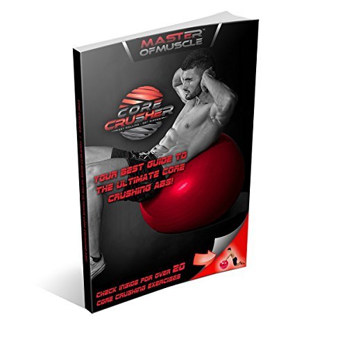 Gymnastikball Fitnessball 65cm mit Pumpe - der Beste für Bauchmuskeln - Stabilität & Tonus - für Cross Fitness - Yoga & Pilates - Bonus Ebook mit 20 Core Crushing Übungen & Workouts - 2