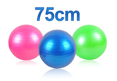 Gymnastikball 55 - 75 cm mit Pumpe Fitnessball Trainingsball für Training #248 , Größe:75 cm